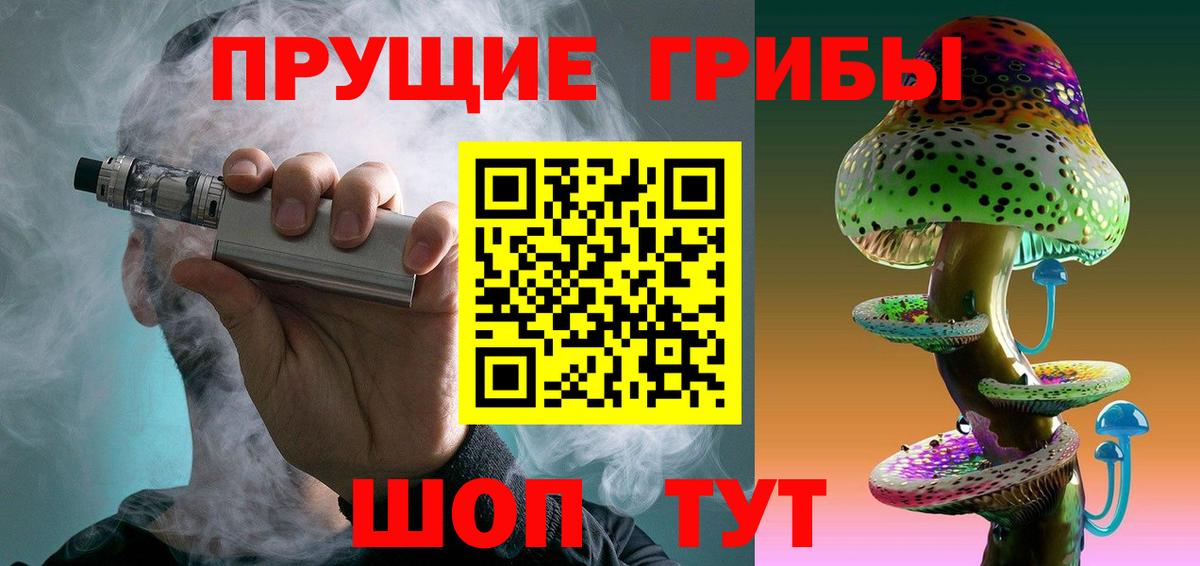 Галлюциногенные грибы Psilocybe Шадринск