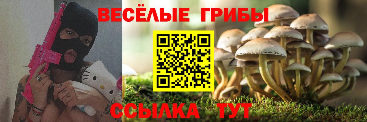 Шадринск  Псилоцибиновые грибы ЛСД  цены наркотик  Галлюциногенные грибы Psilocybine cubensis  Вход с VPN 